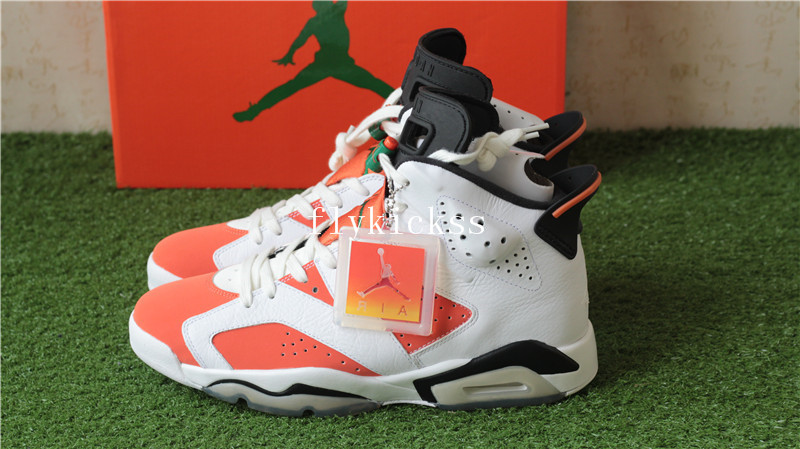 Authentic Air Jordan 6 Gatorade